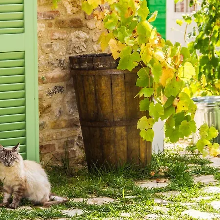 Il Colle Sulla Flaminia *